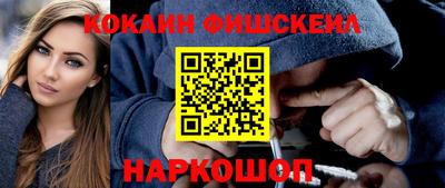 индика Гатчина