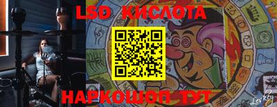 индика Гатчина