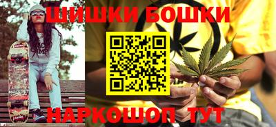индика Гатчина