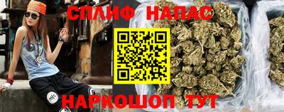 индика Гатчина