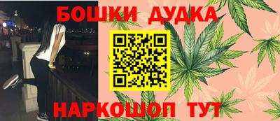 индика Гатчина