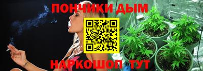 индика Гатчина