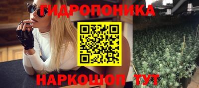 прущие крисы Гагарин