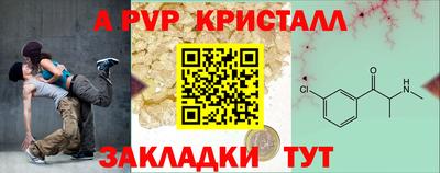 индика Гатчина
