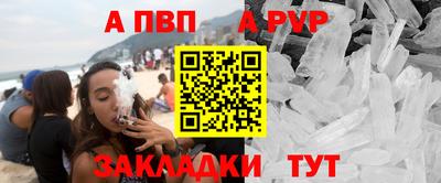 индика Гатчина