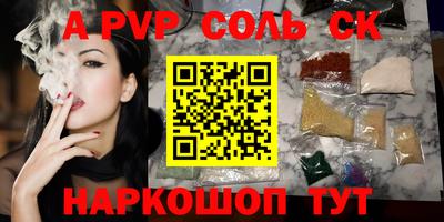 индика Гатчина