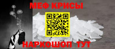 индика Гатчина
