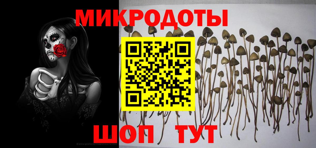Псилоцибиновые грибы Psilocybine cubensis Нарткала