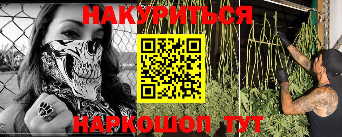 МАРИХУАНА тримм  Вход с VPN  Бошки марихуана конопля  Нарткала 